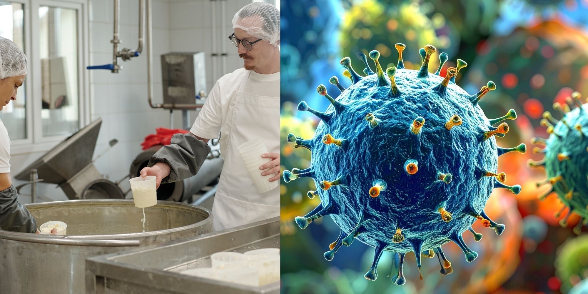 Ultraprocesados y defensas: por qué la discusión ya no pasa sólo por las calorías