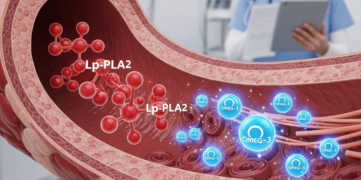 Lp-PLA2 y omega-3: el biomarcador “vascular” que vuelve a escena (y qué hacer con esa información)