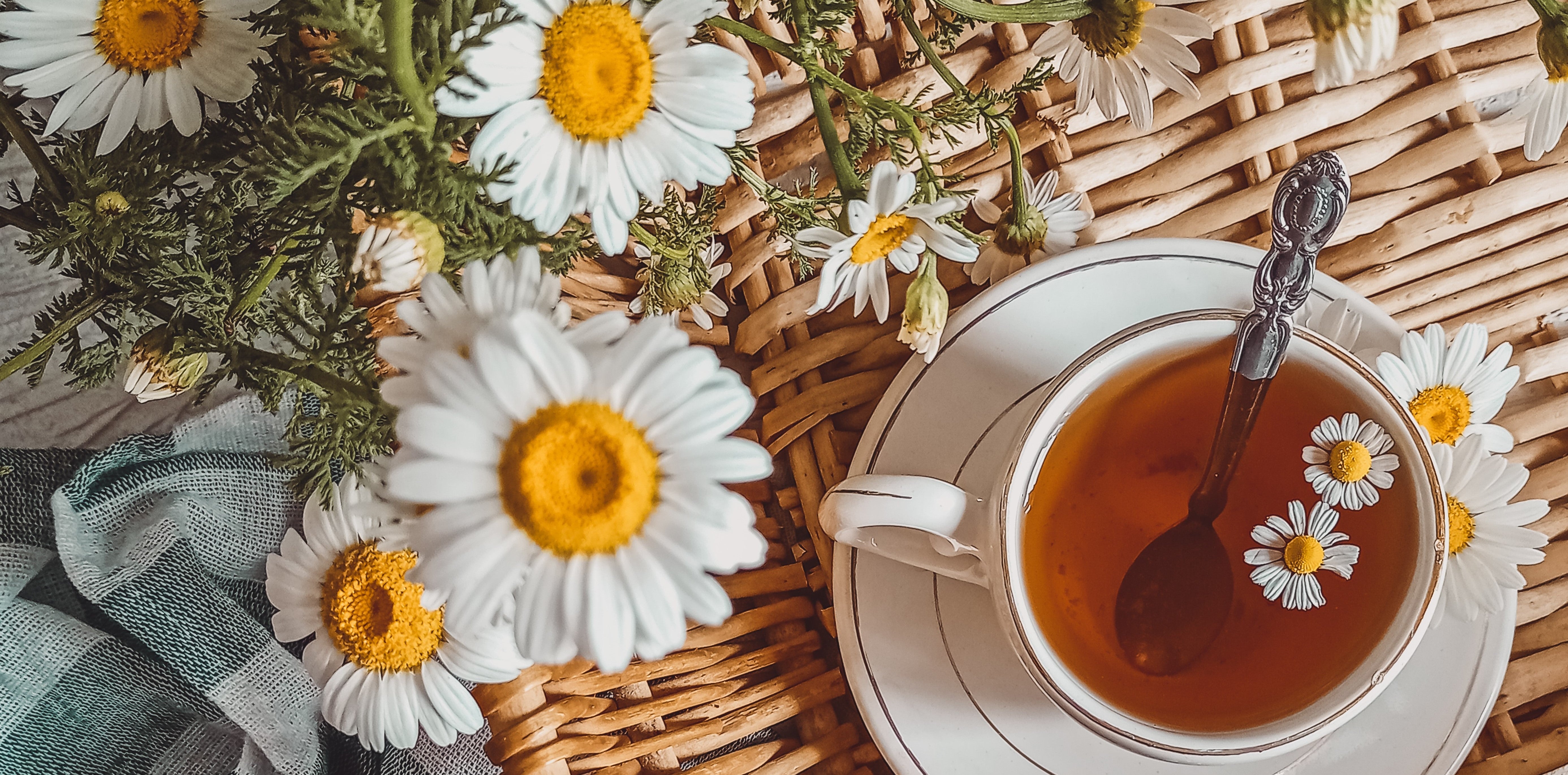 Manzanilla, melisa y tilo: 3 aliados naturales para tu bienestar