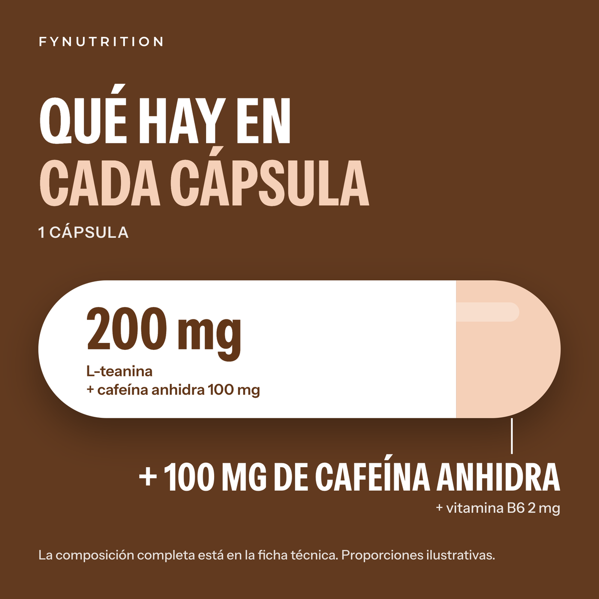 Cafeína + L-Teanina: qué hay en cada porción – FYNUTRITION