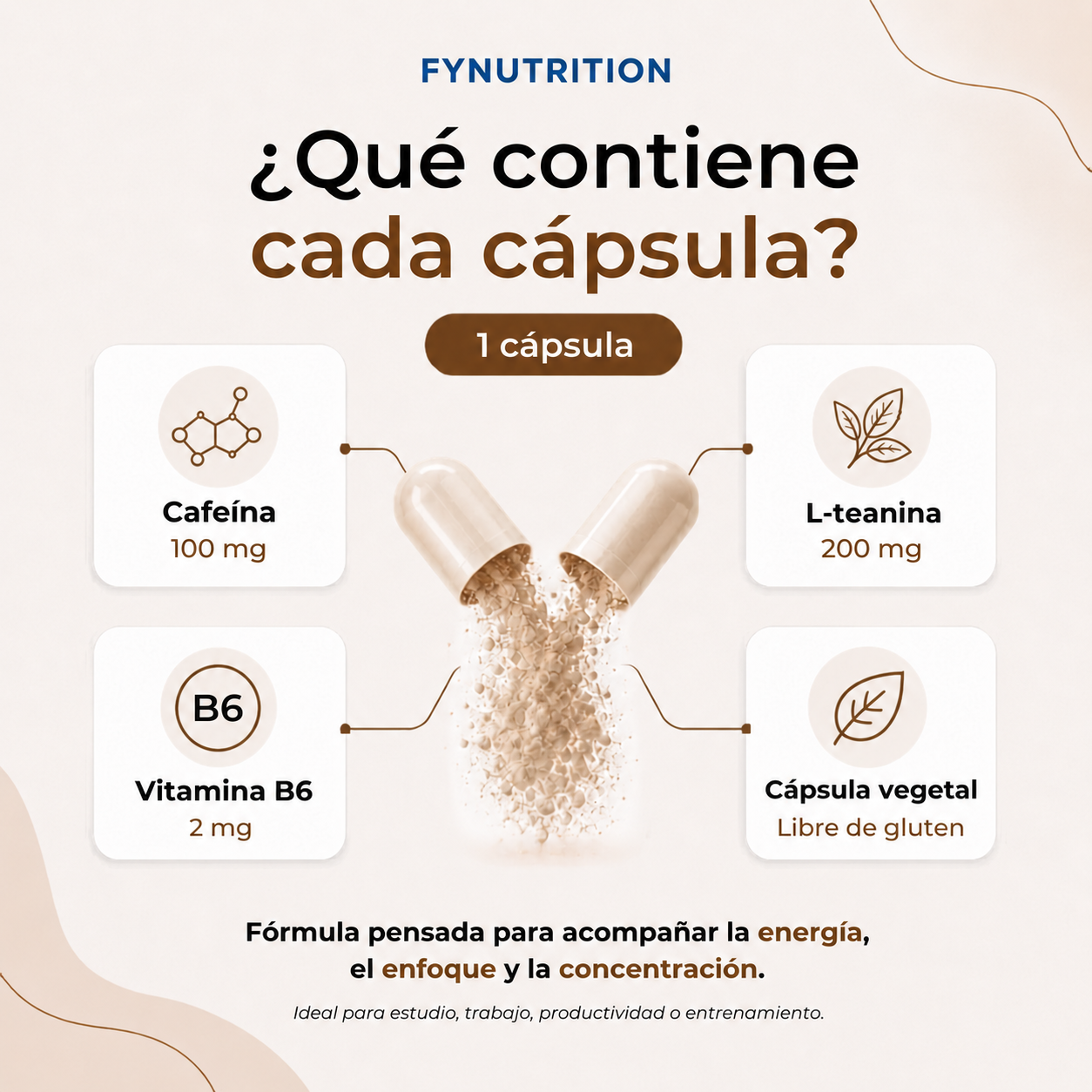 Cafeína + L-Teanina
