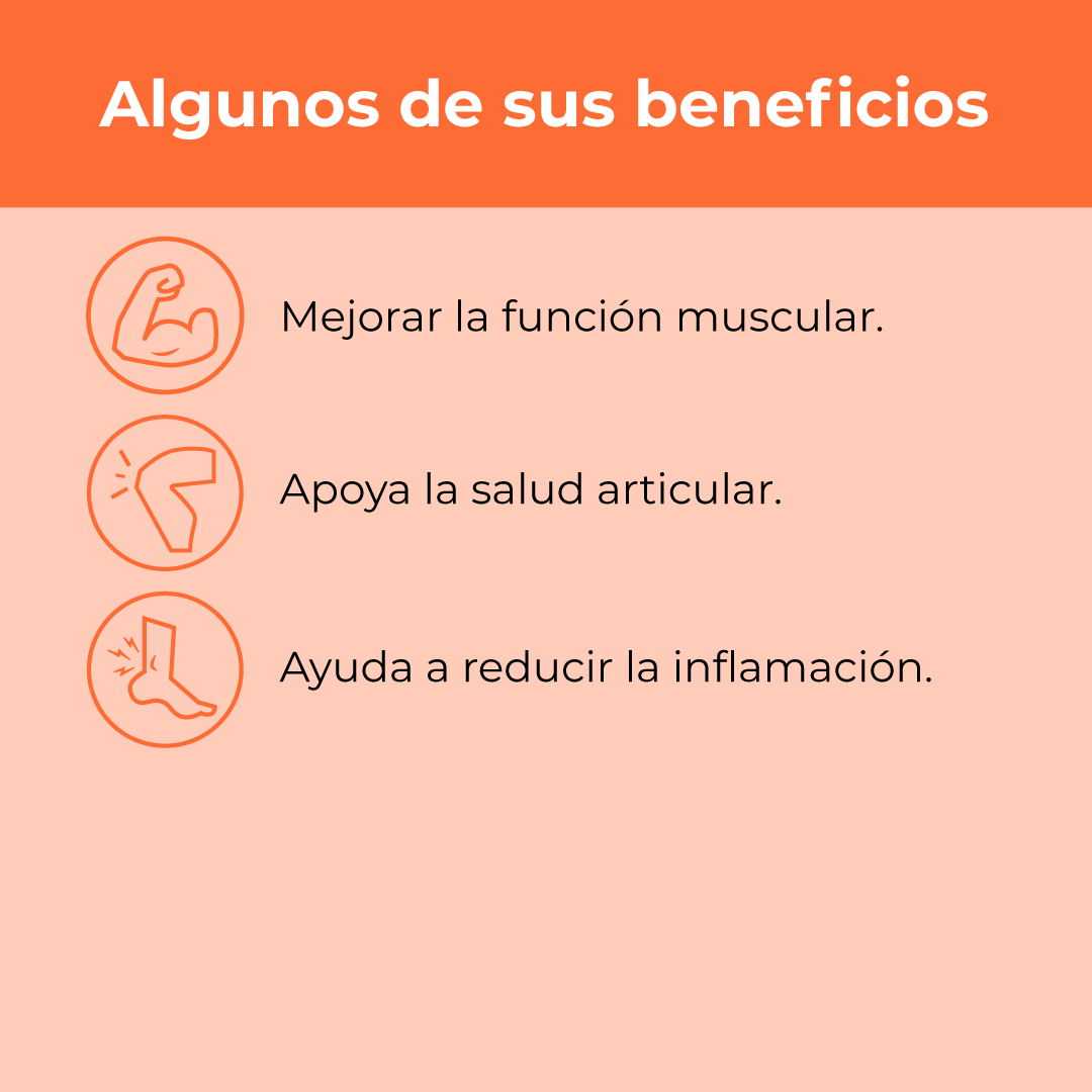 Combo Deportivo - Colágeno Sport + Citrato de Magnesio