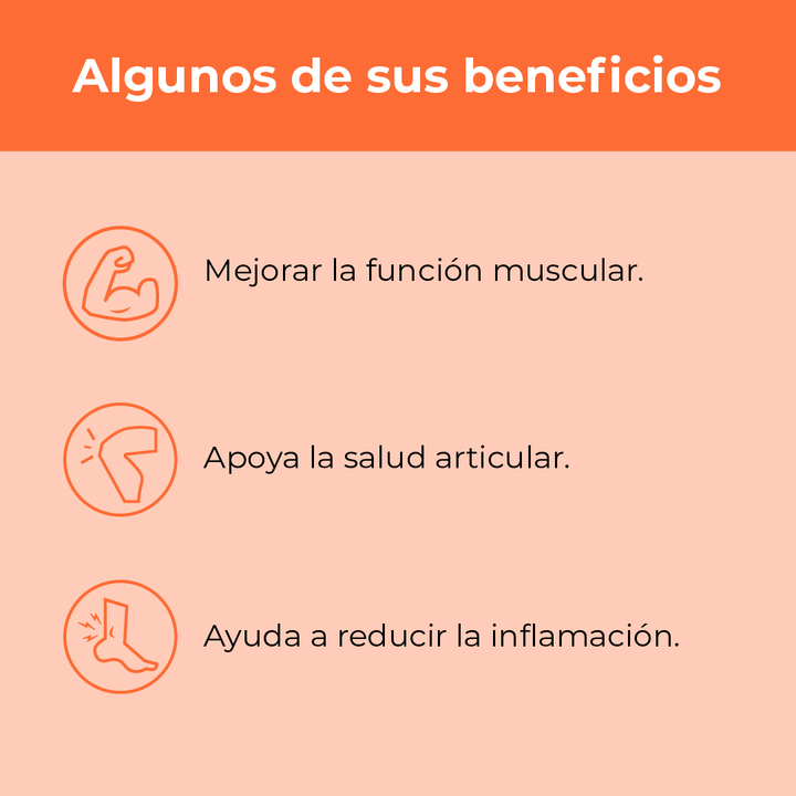 Combo Deportivo - Colágeno Sport + Citrato de Magnesio
