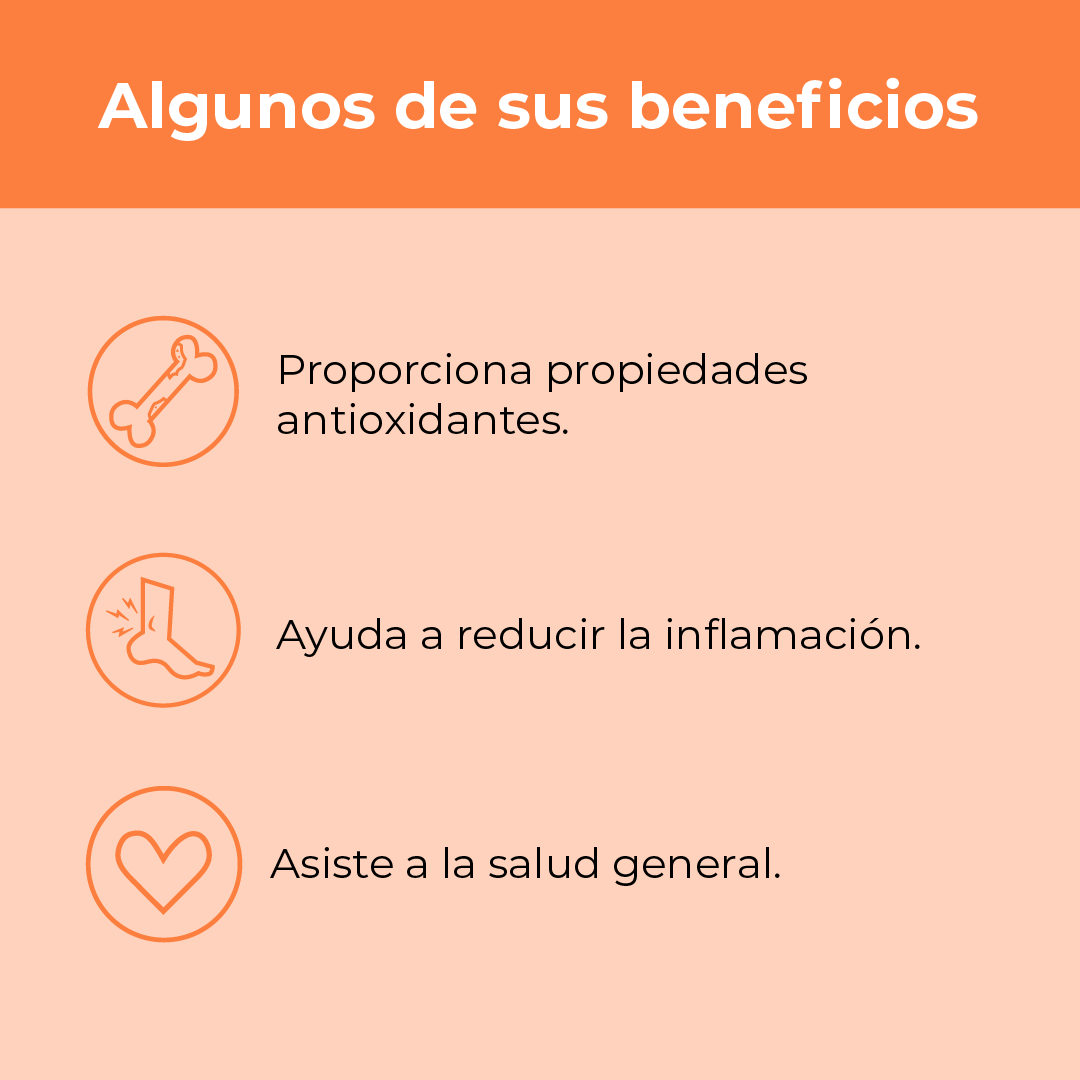 Combo Veganos: Vitamina B12 + Cúrcuma
