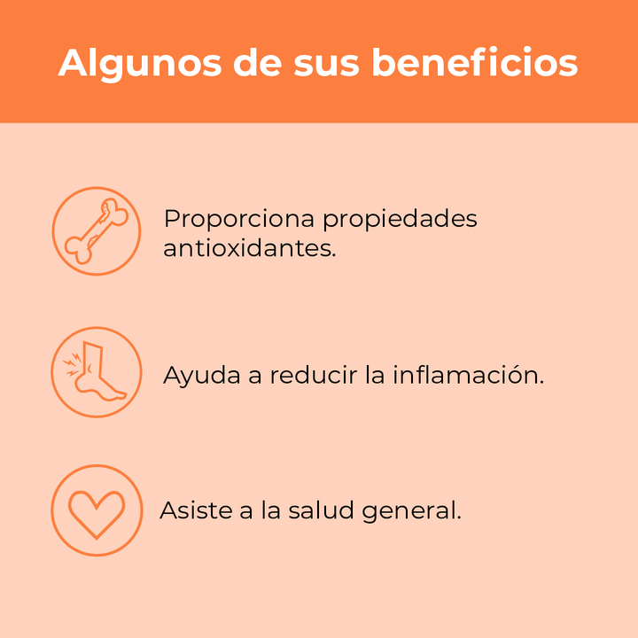 Combo Veganos: Vitamina B12 + Cúrcuma