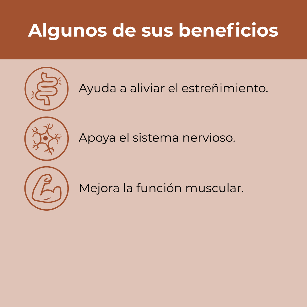 Pack Zen Total: Bisglicinato de Magnesio + Calm + Melena de León + Magnesio + Vitamina B12 + Vitamina D3 GRATIS