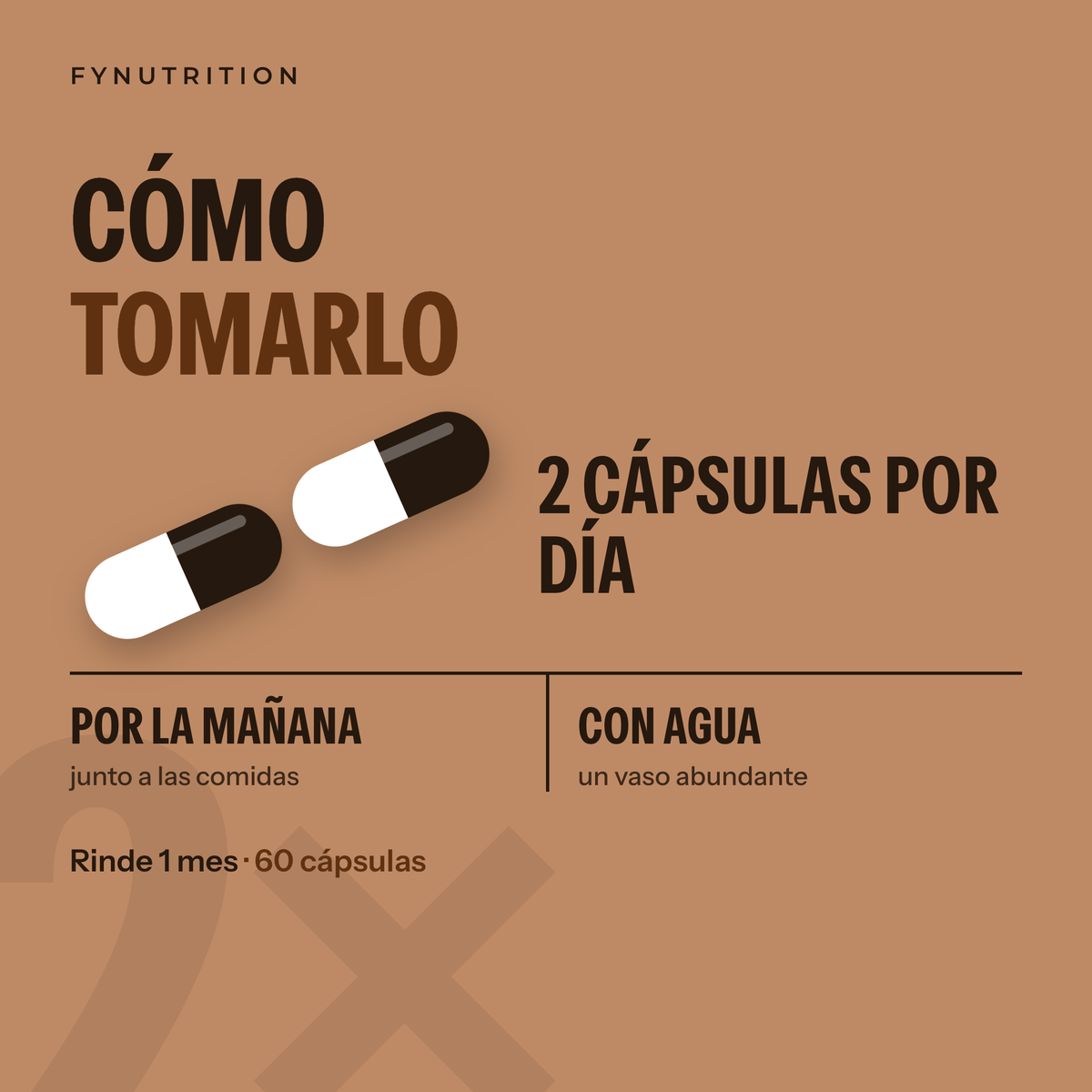 Melena de León: cómo tomarlo – FYNUTRITION