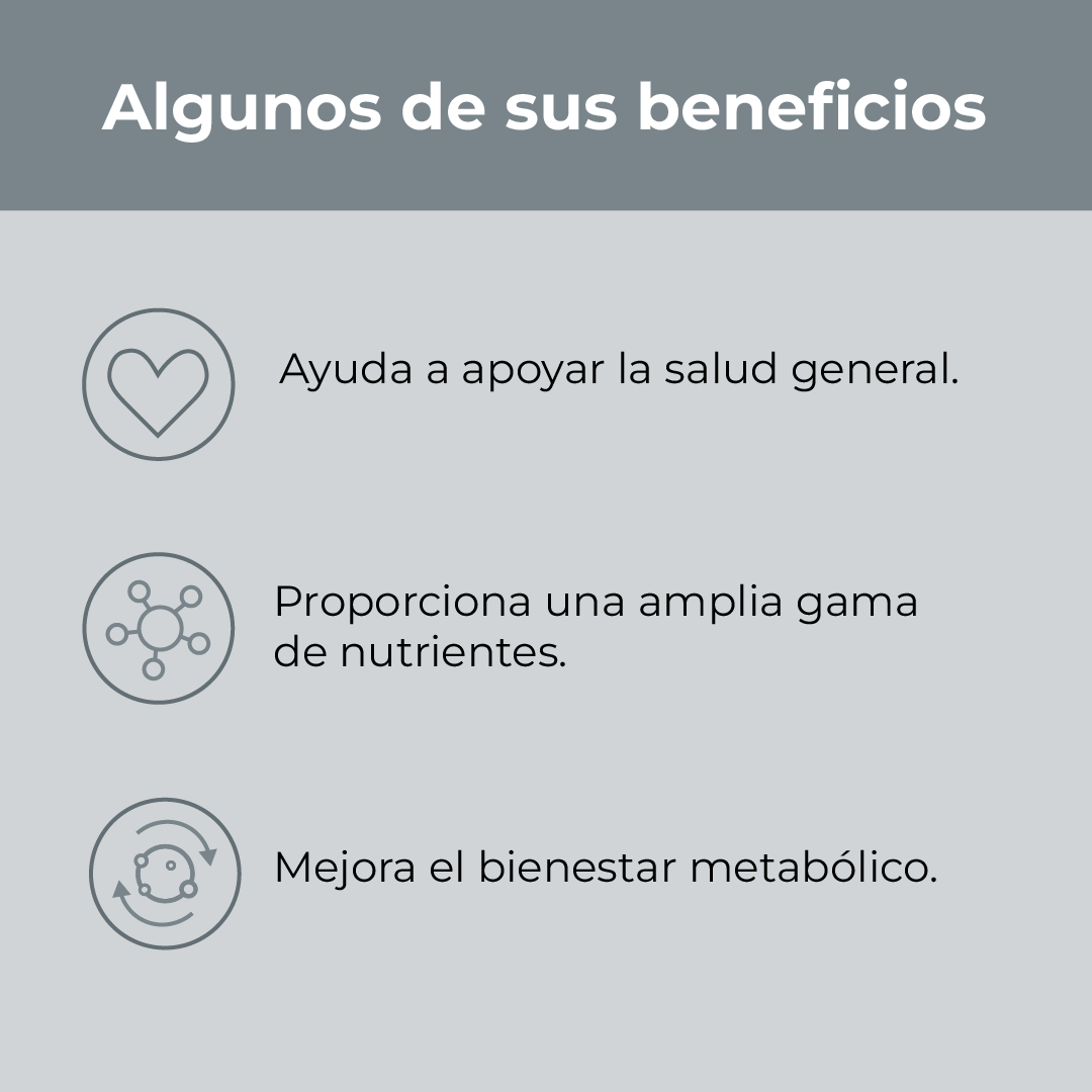 Multify - Multivitamínico