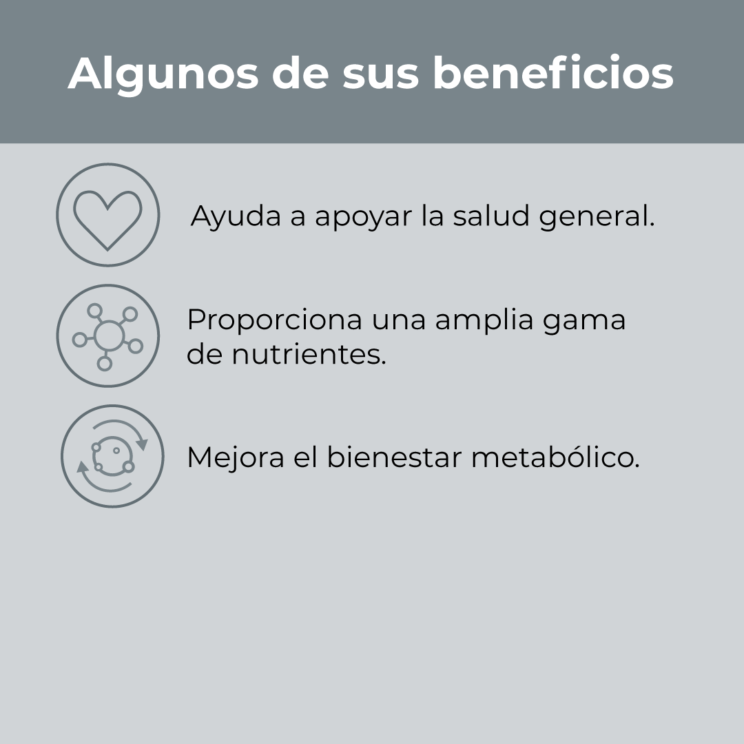 Pack Bienestar Total: Bisglicinato de Magnesio + Omega 3 Fish Oil + Cúrcuma + Multify + Vitamina D3 + Vitamina C GRATIS