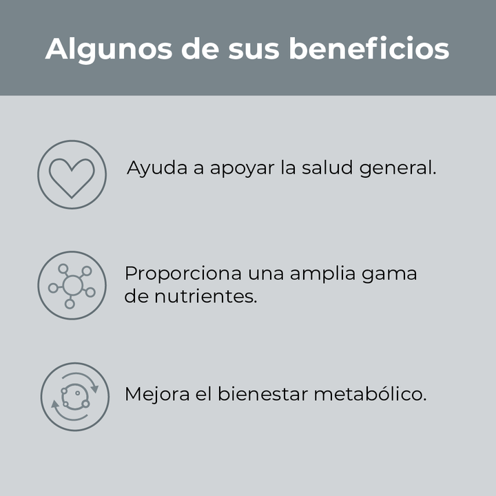 Multify - Multivitamínico