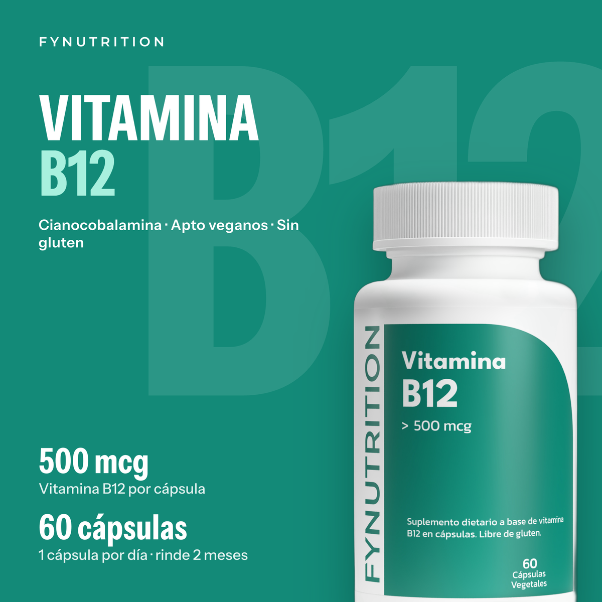 Vitamina B12: lo esencial – FYNUTRITION