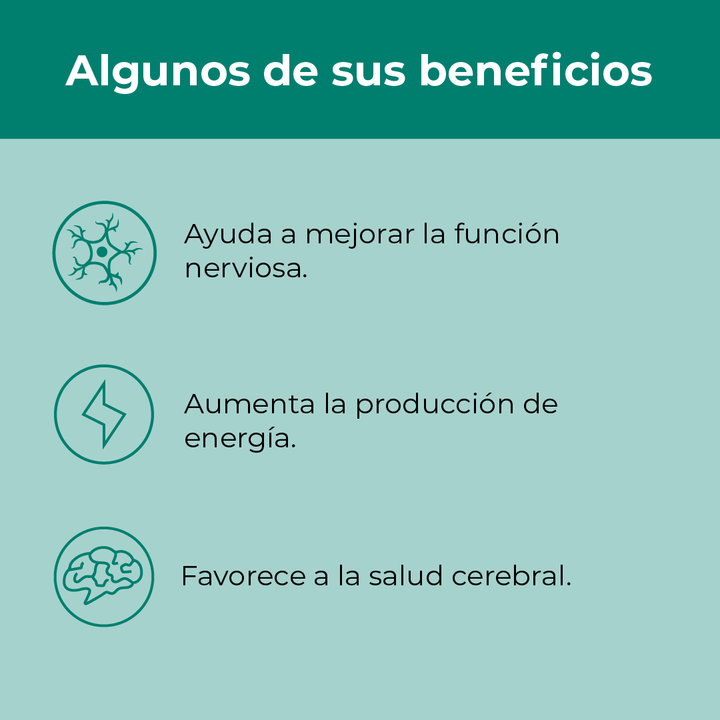 Combo Veganos: Vitamina B12 + Cúrcuma